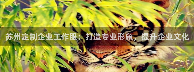龙8官方app下载