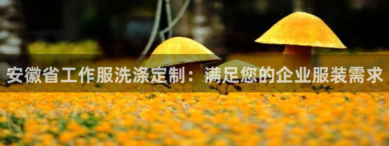 龙8游戏平台官方网站