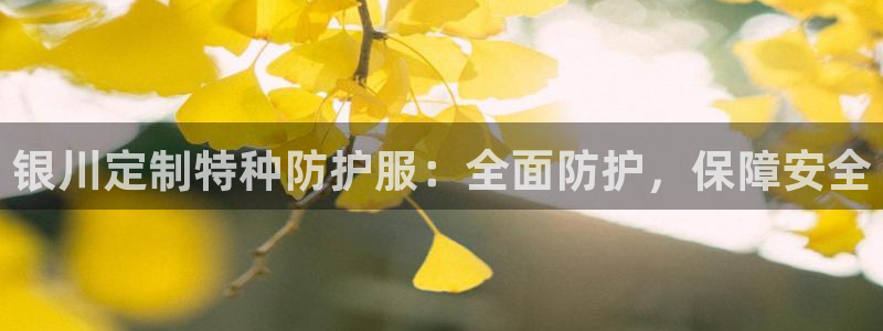龙8网页版登录官网
